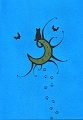 moon cat